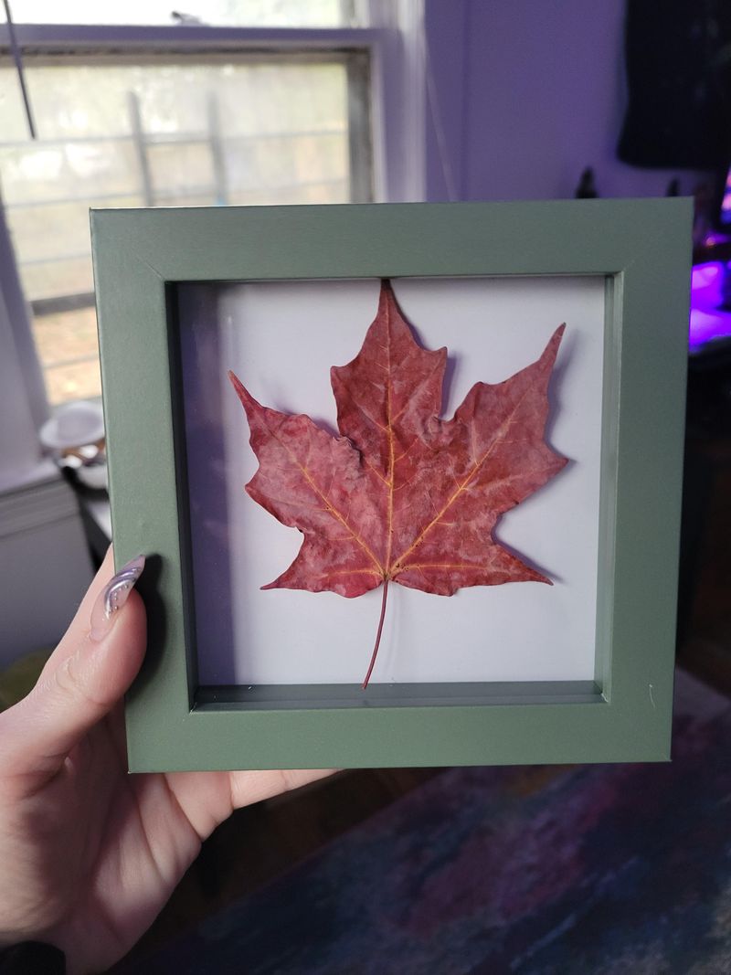 Preserved Leaf Placemats