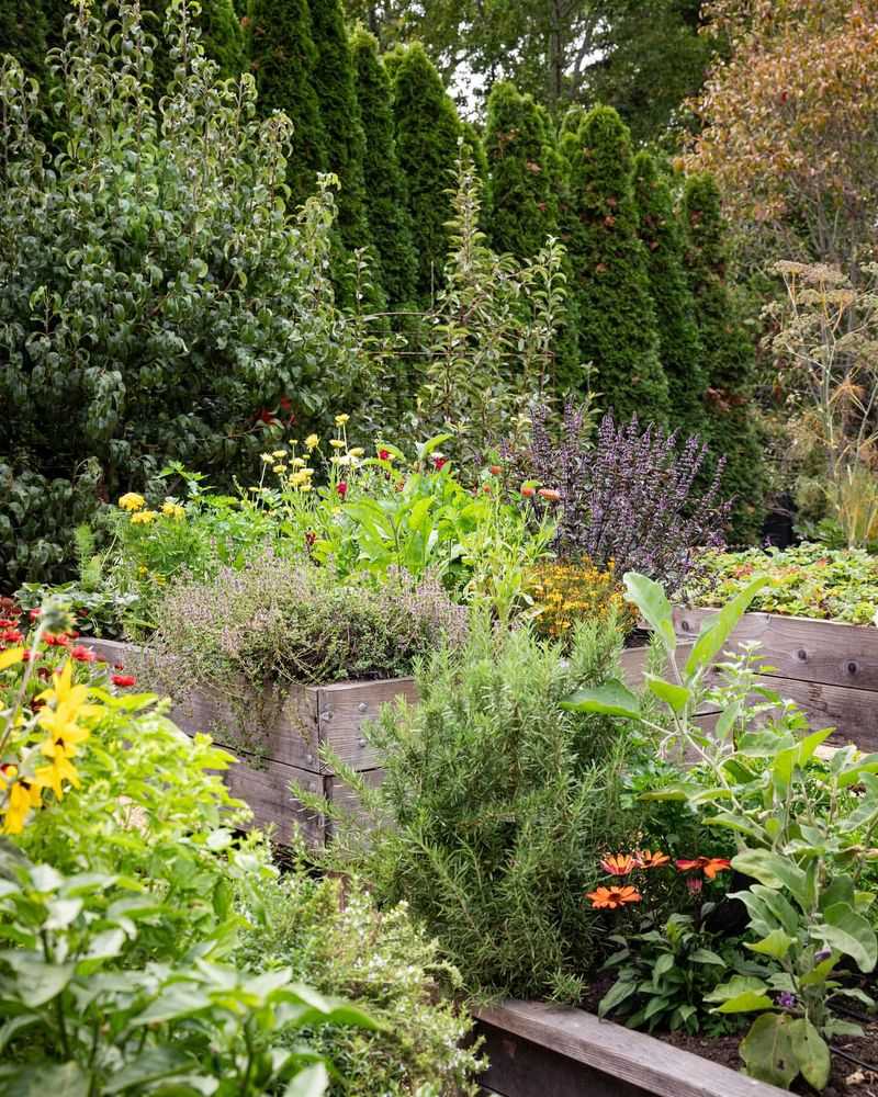 Repurposed Furniture Gardens