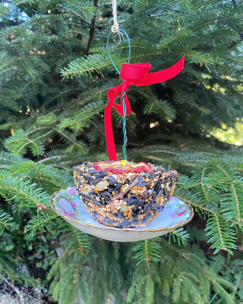 Teacup Bird Feeders