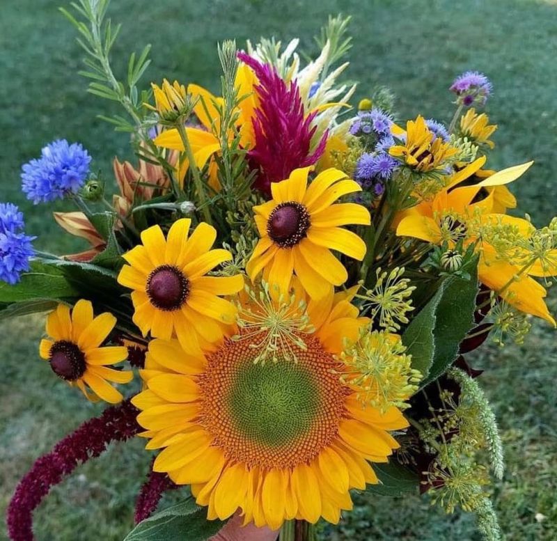Black-eyed Susan Sunburst Arrangement