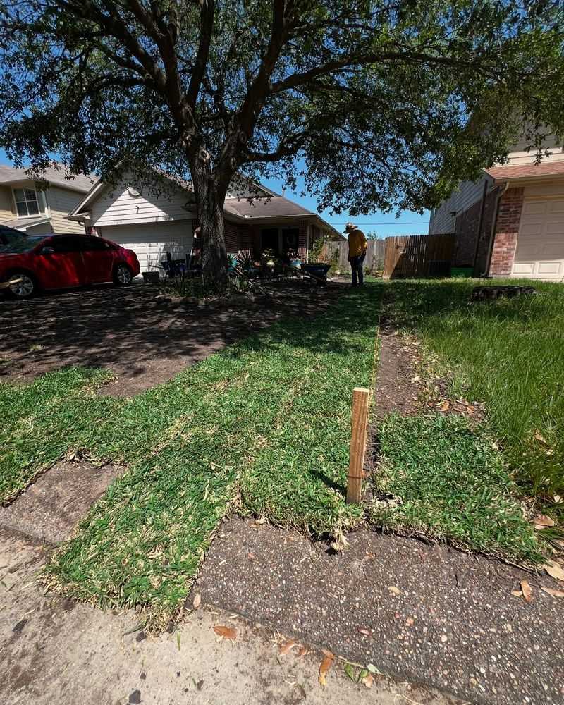 Leaf Mold Collection