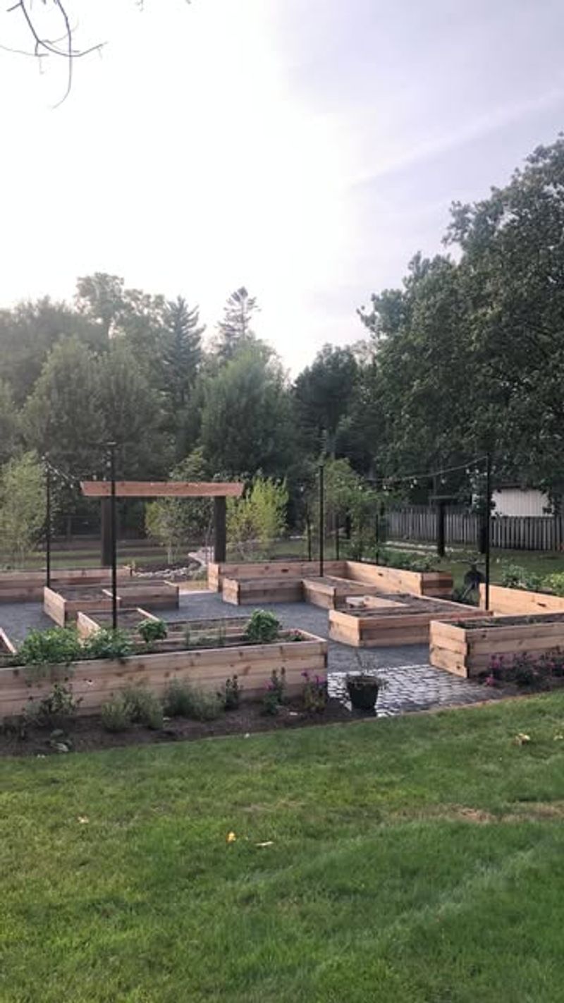 Smart Planting Patterns That Maximize Small Spaces