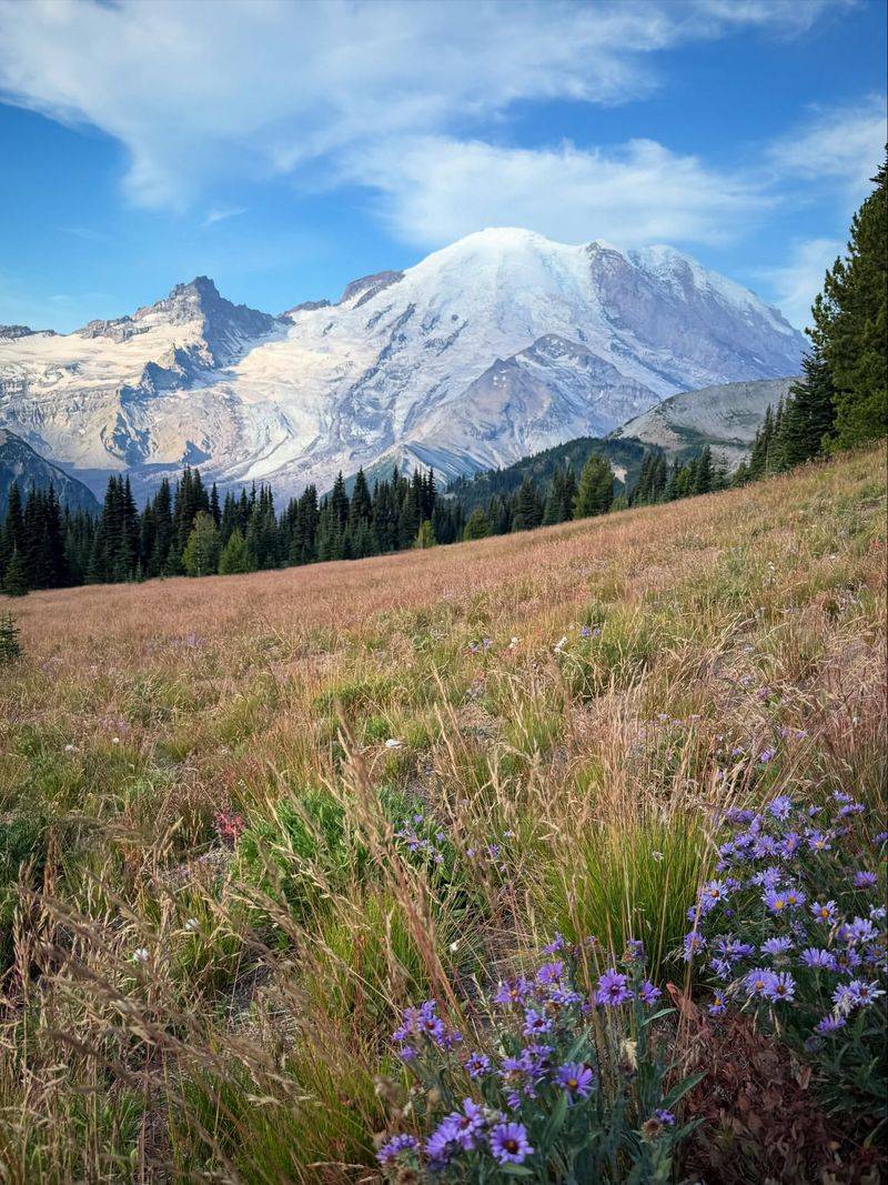 Leavenworth's Alpine Meadow Magic