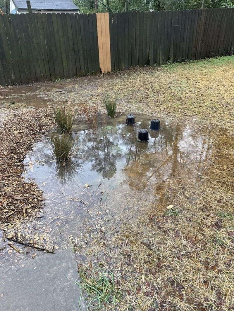 Rain Garden Depressions With Moisture-Loving Natives