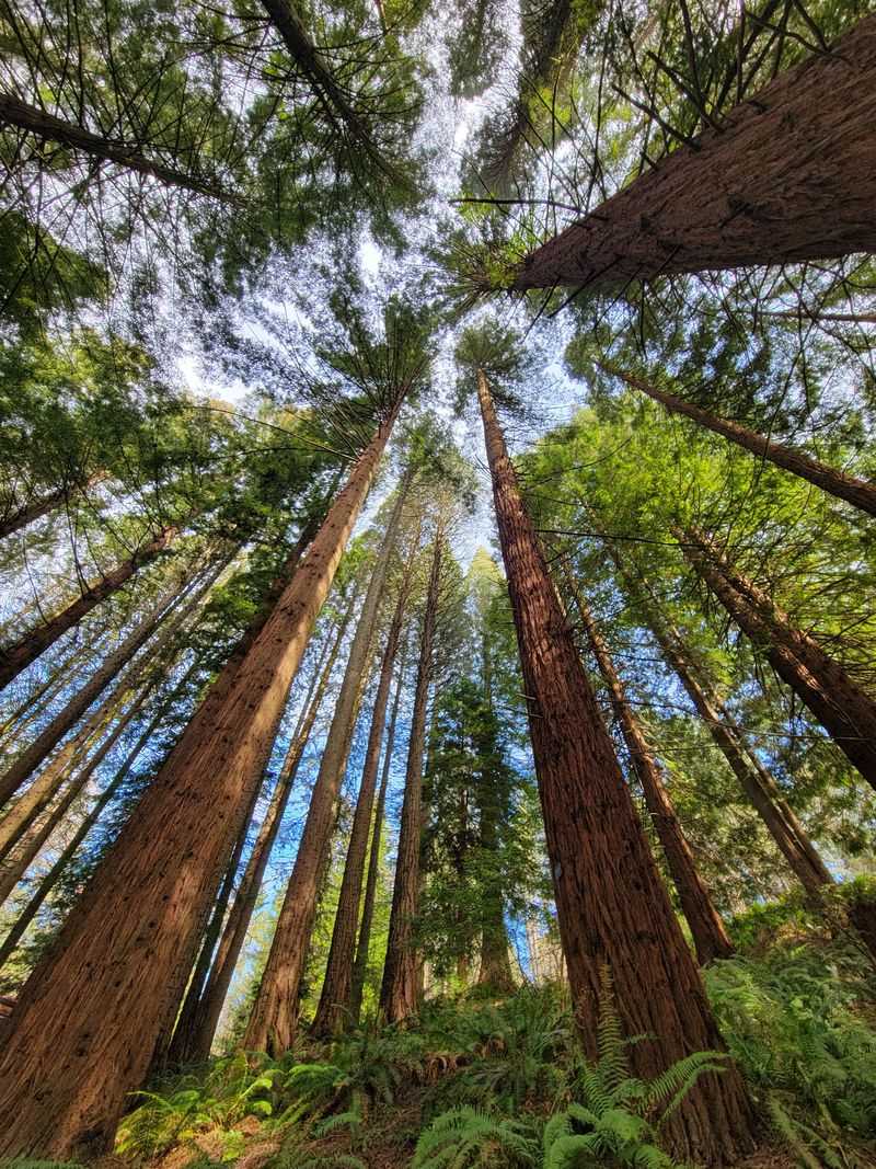 Educational Programs Connect Children With Nature
