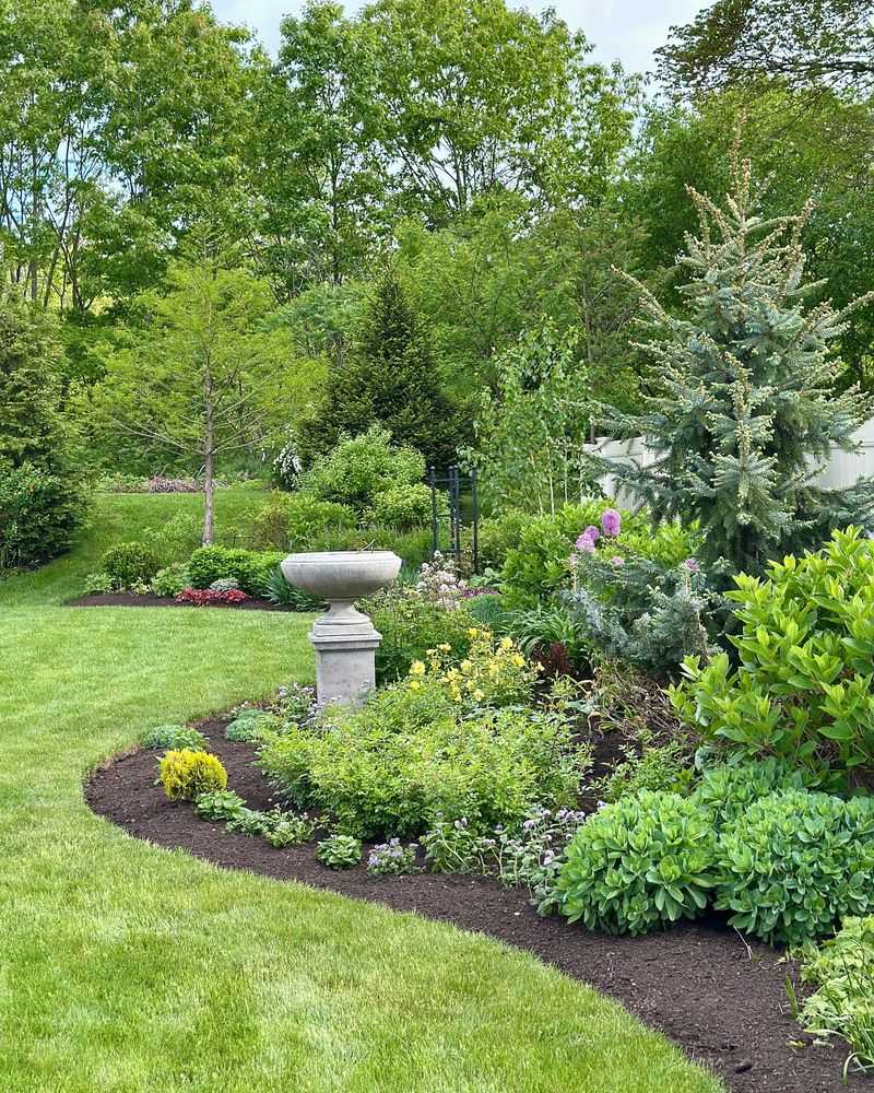 Native Plant Powerhouse