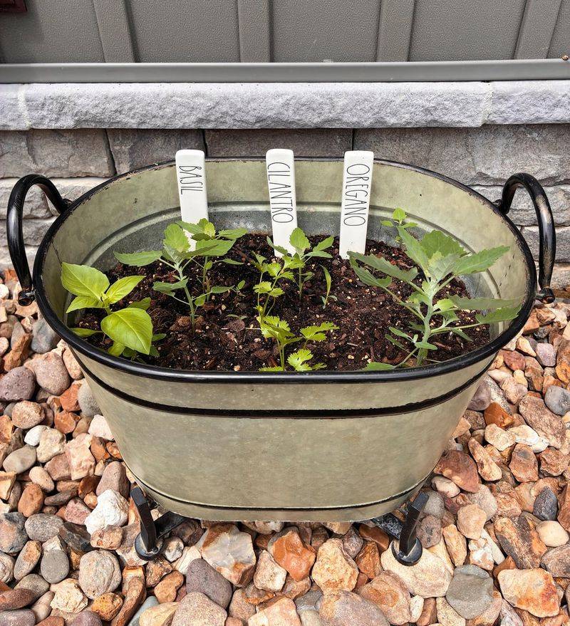 Galvanized Metal Bucket Displays