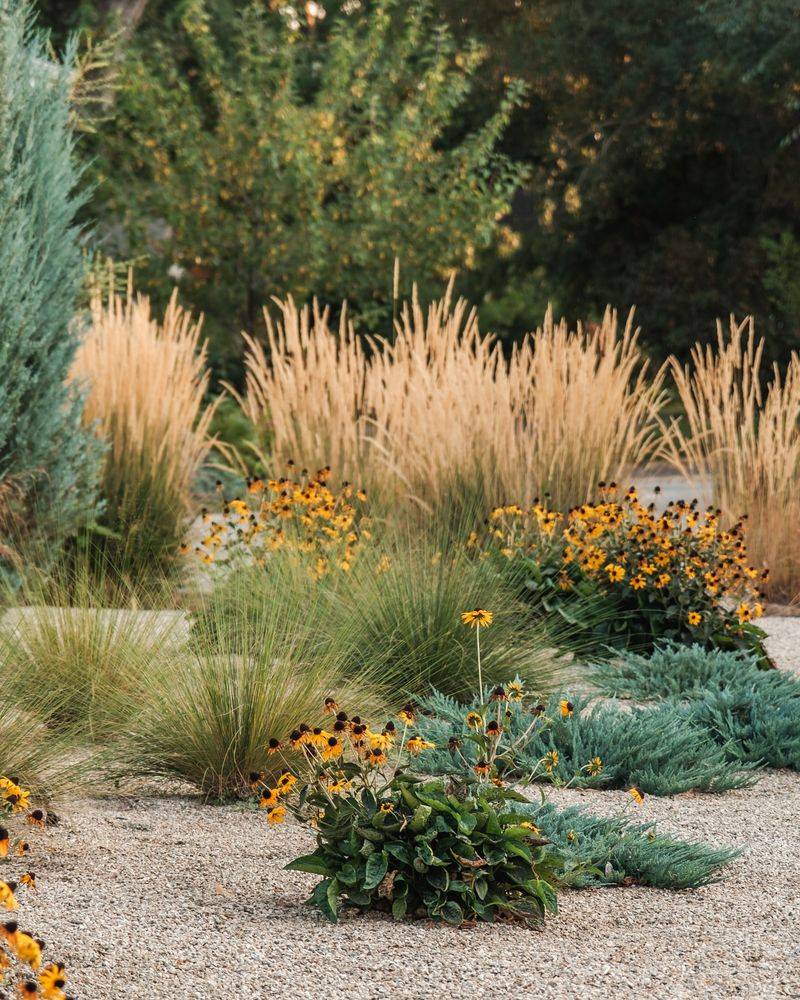 Water-Hungry Lawns
