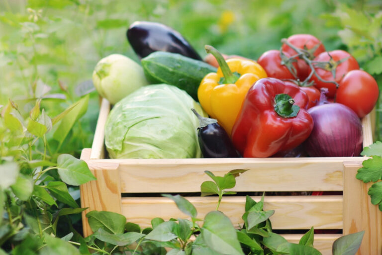 vegetables (featured image)