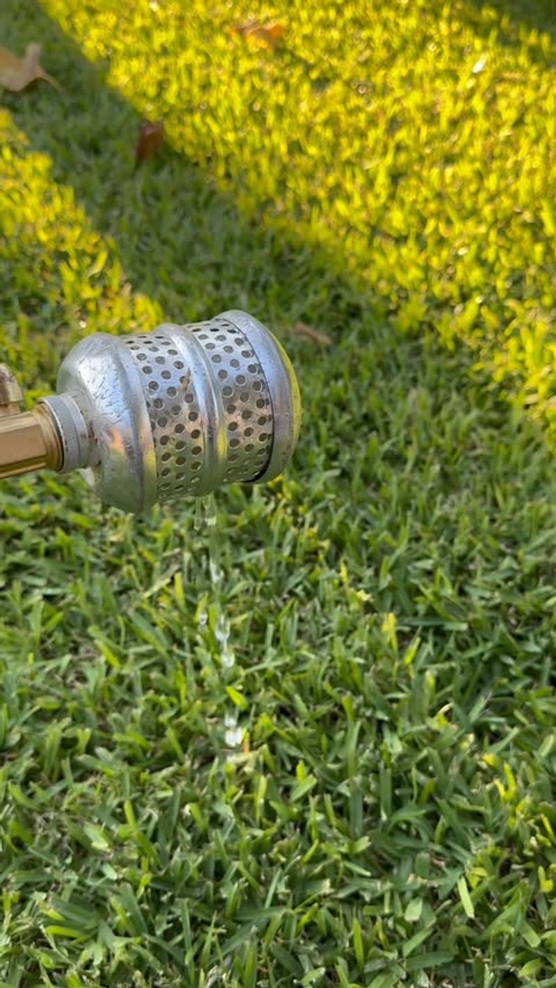 Watering During Peak Heat