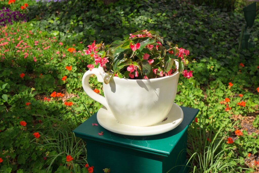 tea pot planter