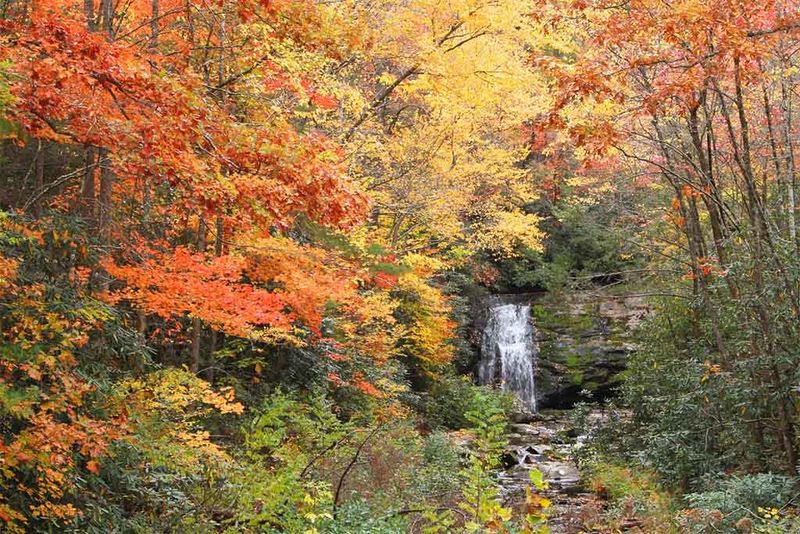 Great Smoky Mountains National Park, Tennessee