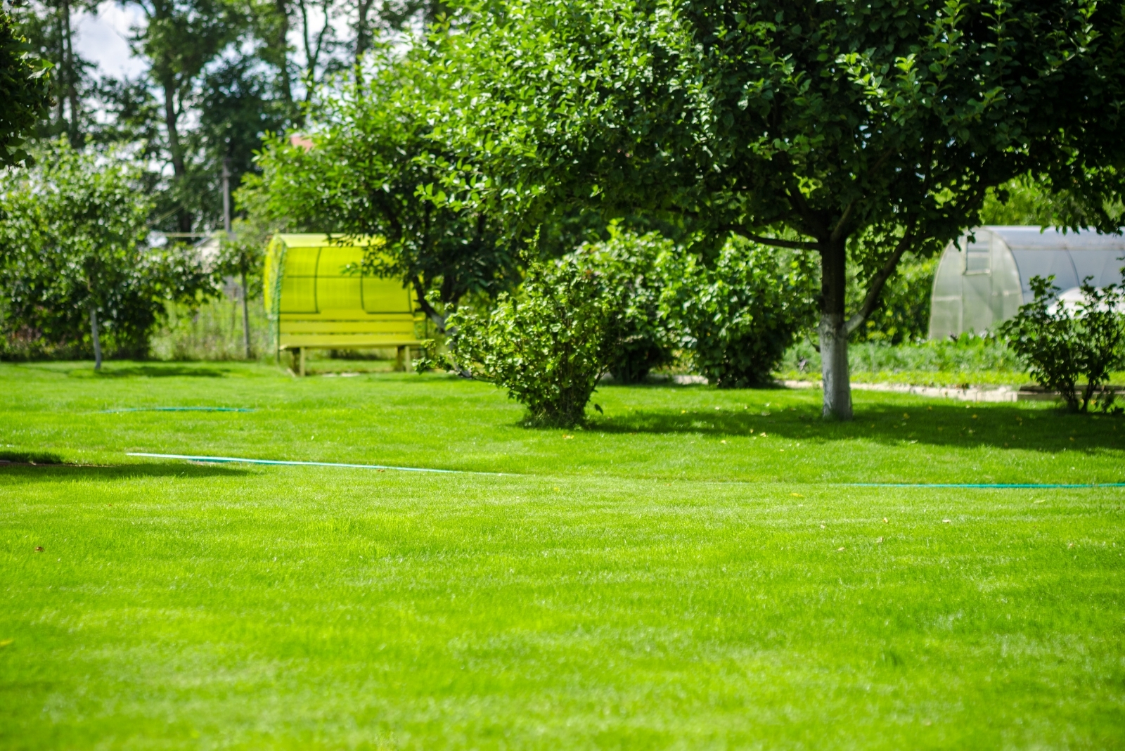 10 Common Florida Lawn Mistakes To Avoid This Summer