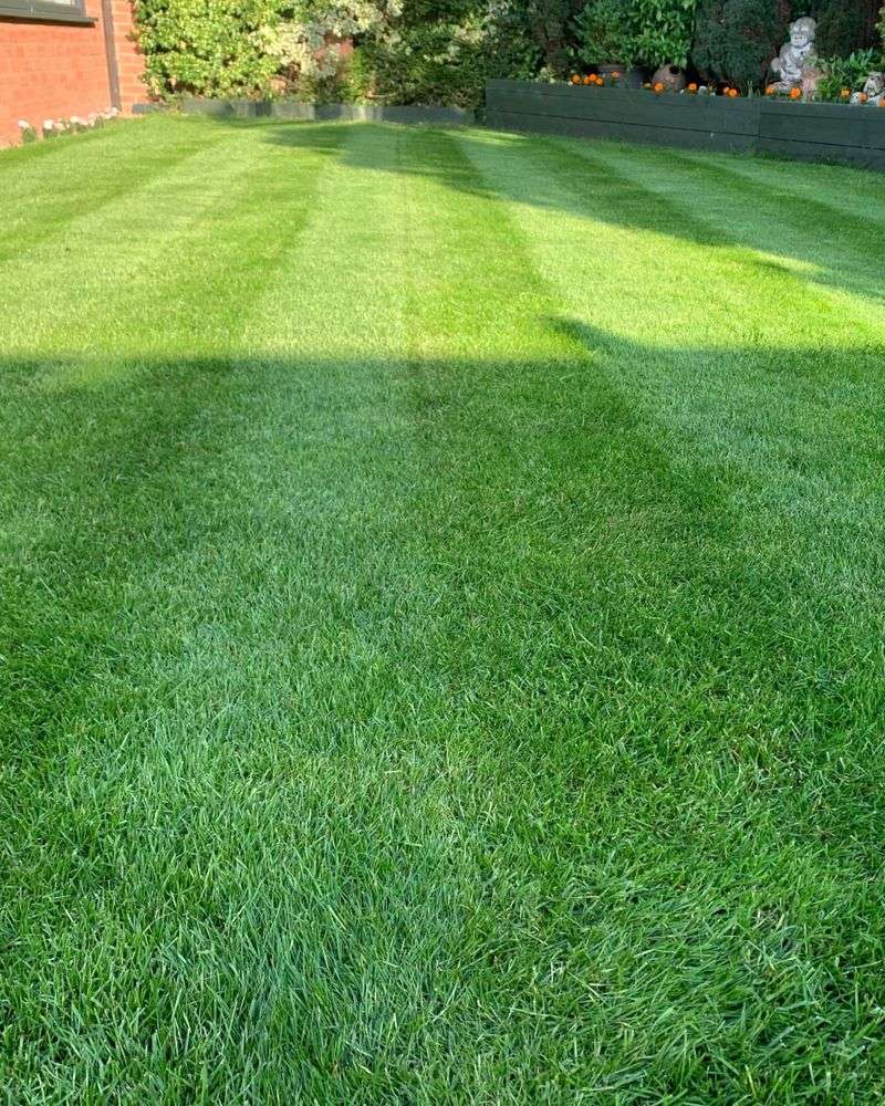 Watering at the Wrong Time