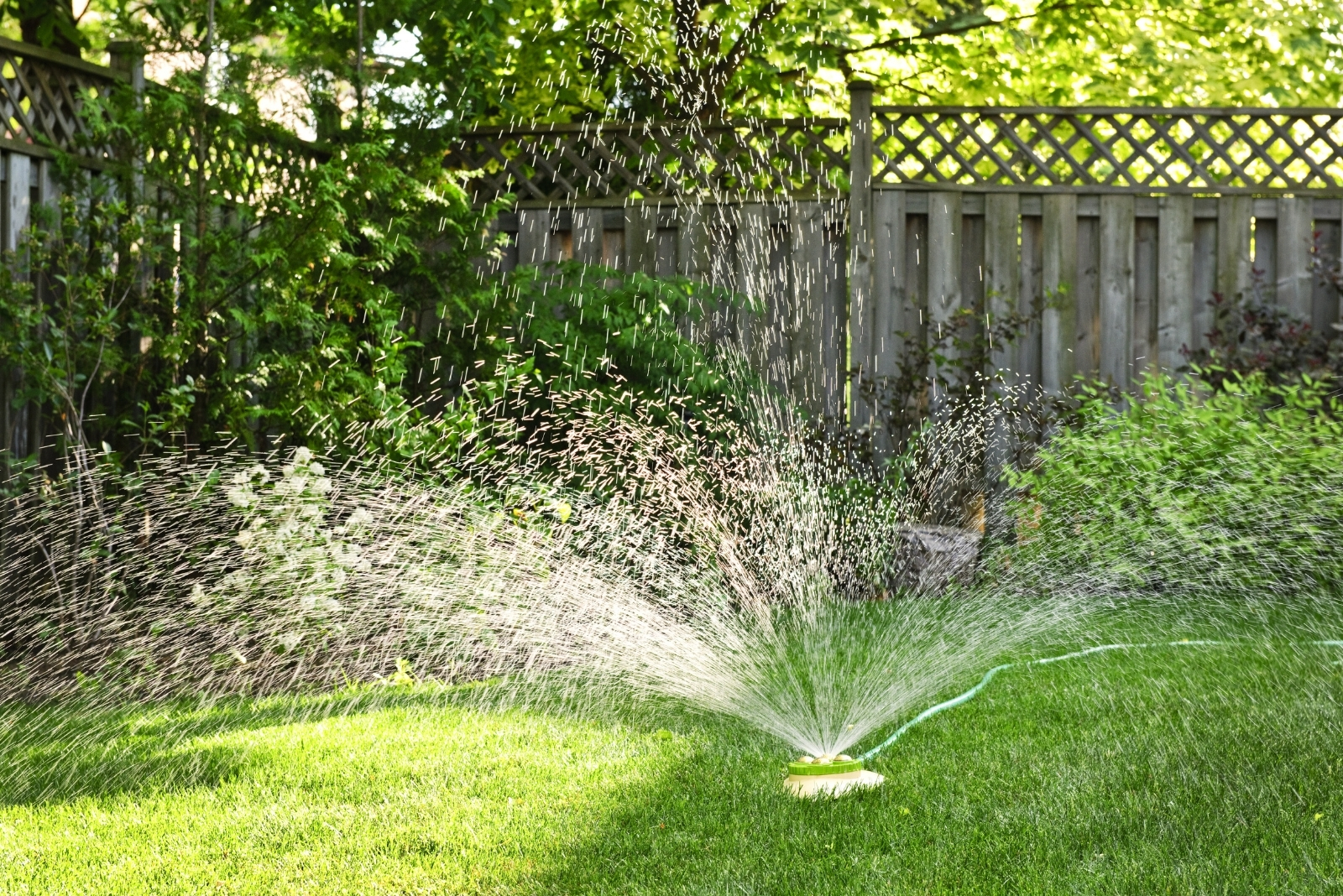 10 Common Ohio Lawn Mistakes To Avoid This Summer