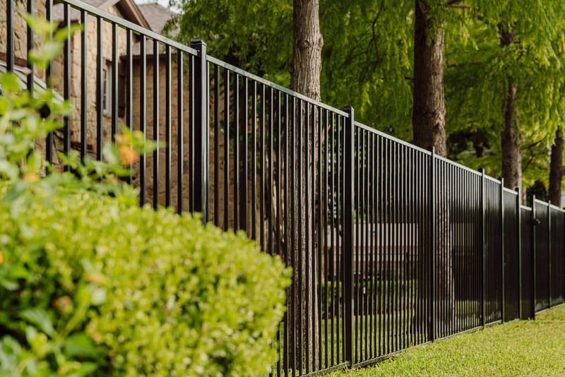 Tall Privacy Fences