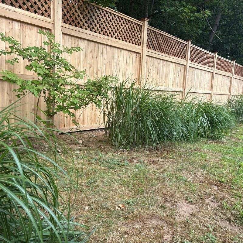 Tall Privacy Fences