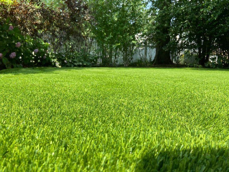 Artificial Turf And Water-Repellent Surfaces