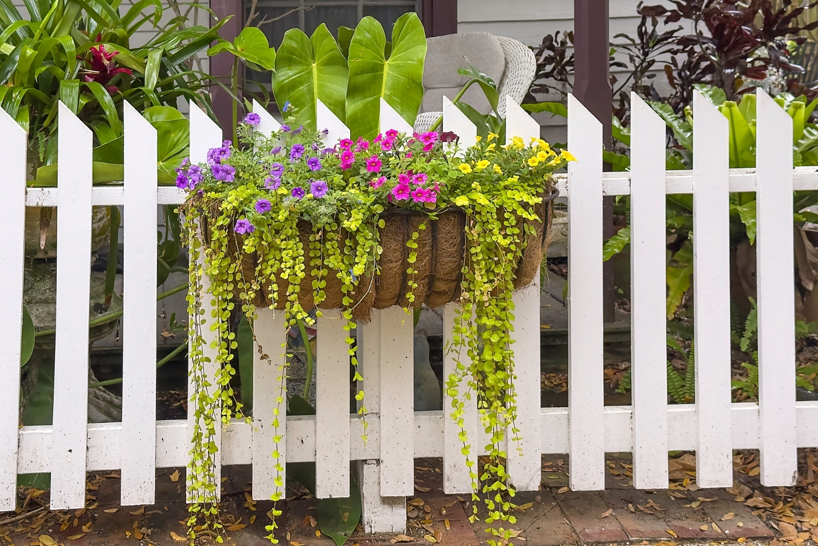 10 Creative Small Garden Fence Ideas For Florida Yards
