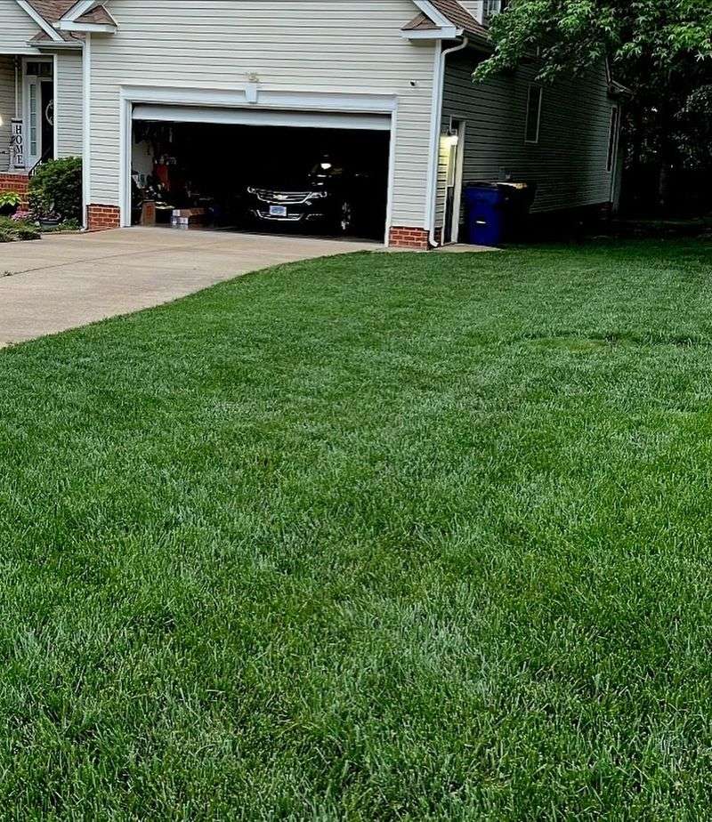 Choose Cool-Season Grass Varieties