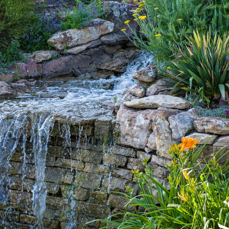 Native Plant Selection