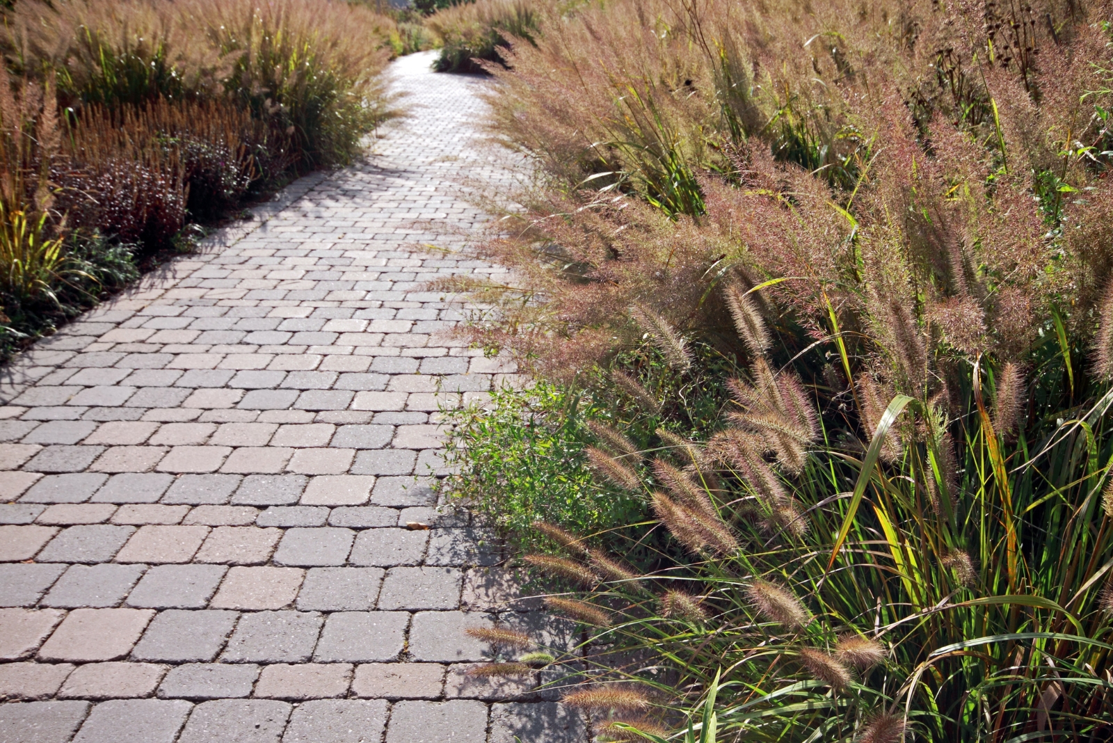 10 Fall Decor Tips With Ornamental Grasses Perfect For California Homes