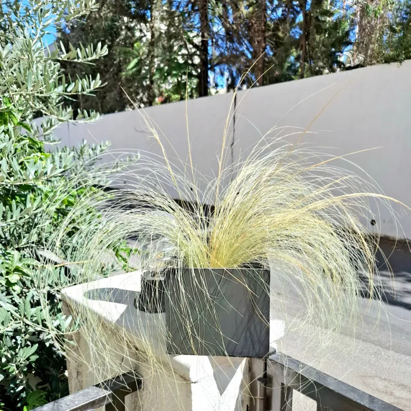 Entryway Statement Pots