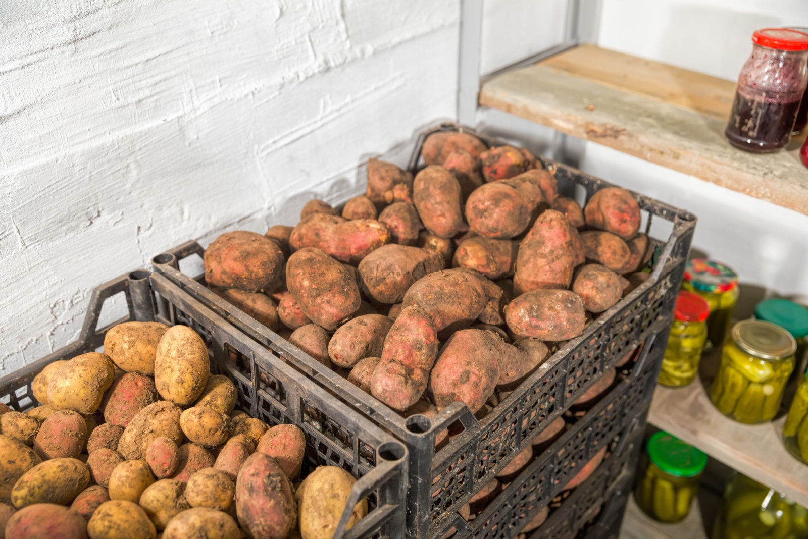 10 Fruits And Vegetables Ohio Gardeners Can Store Well From A Fall Harvest