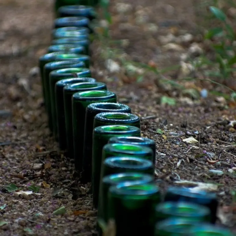 Repurposed Wine Bottles Border