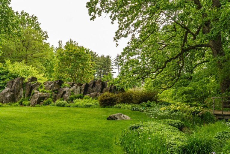 New York Botanical Garden