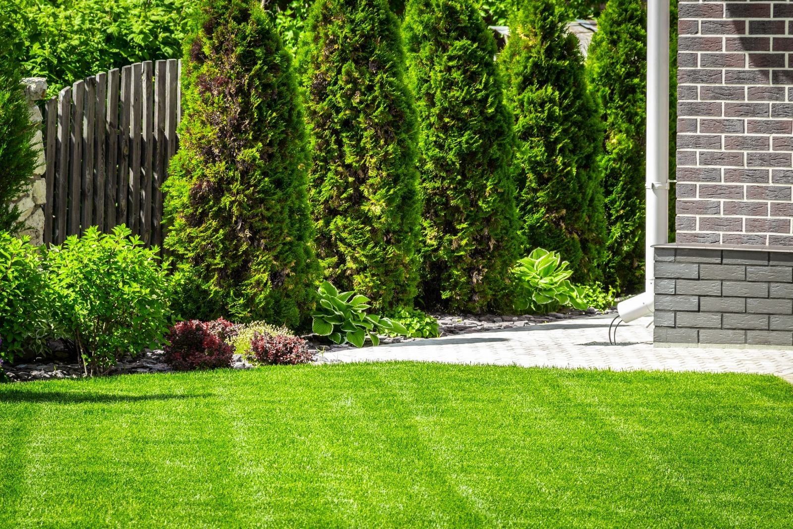 10 Late Summer Lawn Mistakes Every North Carolina Homeowner Should Avoid