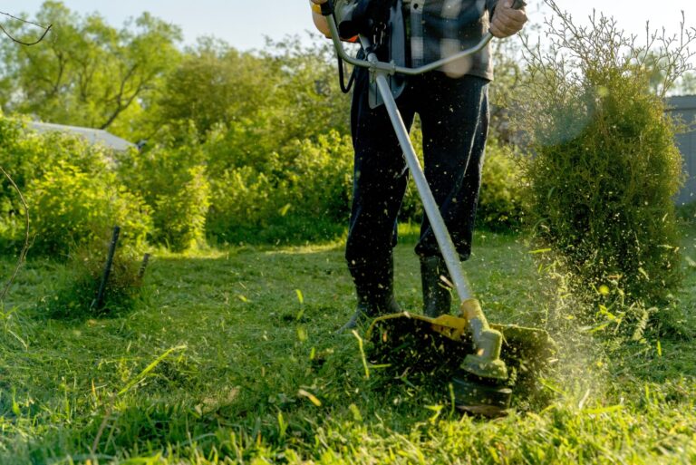 grass trimmer on the grass or in the hands of a gardener