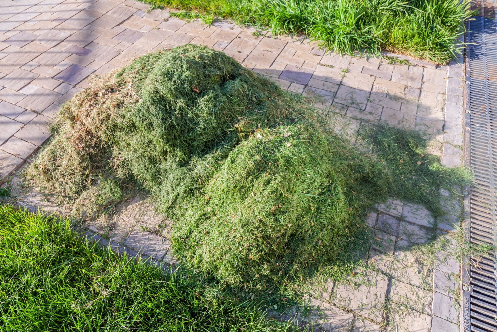 10 Lawn Mistakes Ruining South Carolina Yards In Late Summer