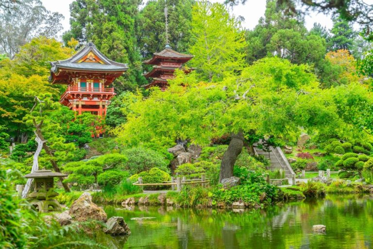 Iconic Japanese Tea Garden in Golden Gate Park.