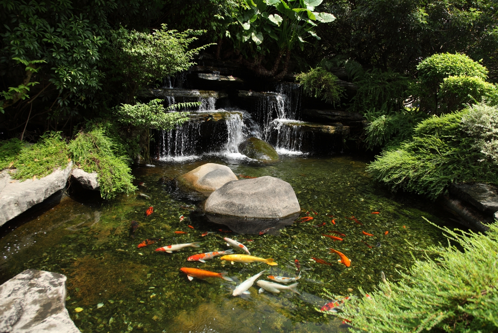10 Pond And Waterfall Inspirations For California Backyards