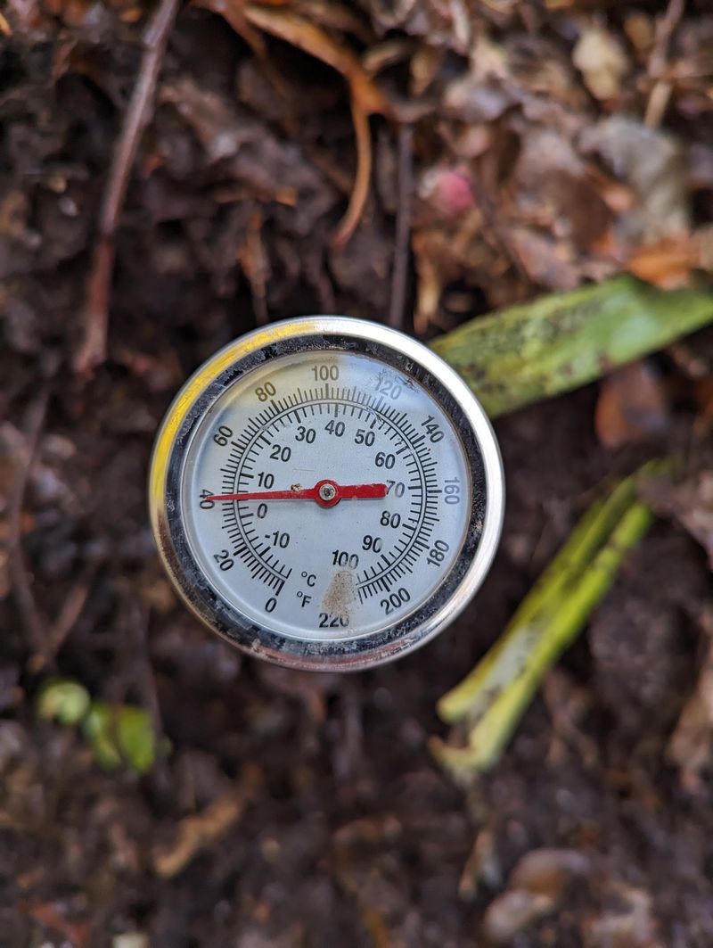 Watch the Thermometer