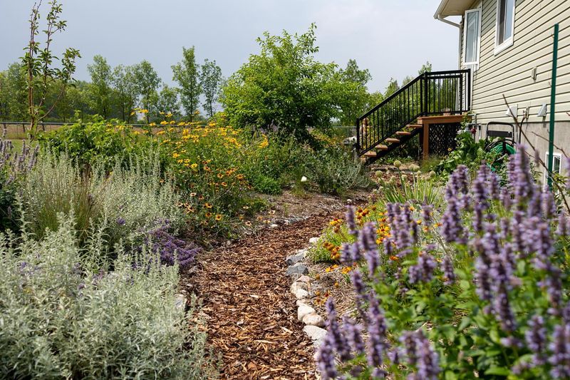 Plant Native Flowers