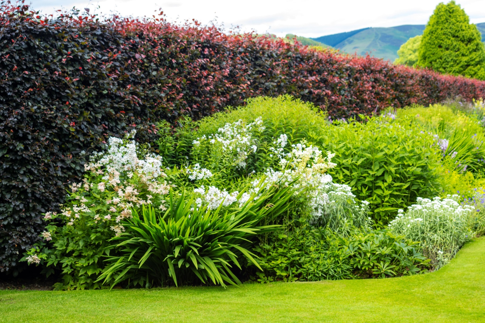 10 Smart Tips For Growing A Perfect Hedge In Pennsylvania