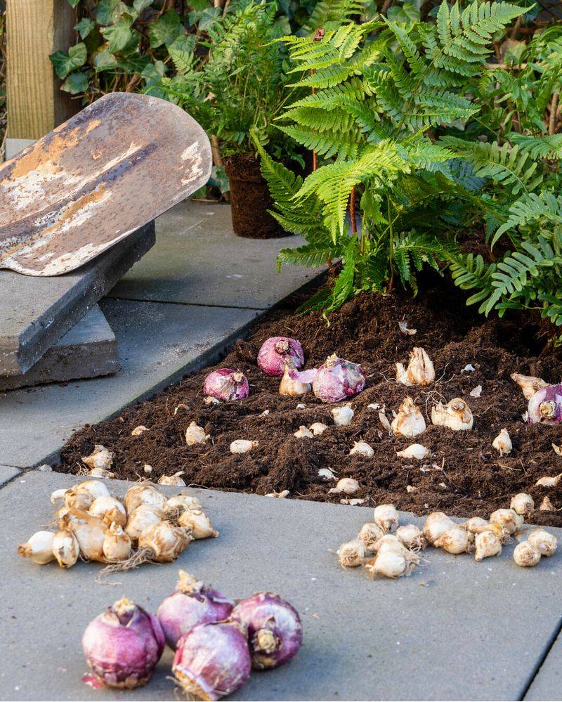 Check Your Garden Calendar