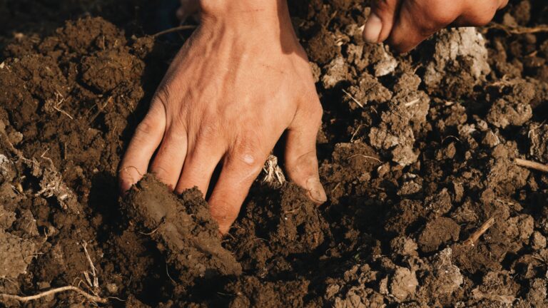 man holds clay soil