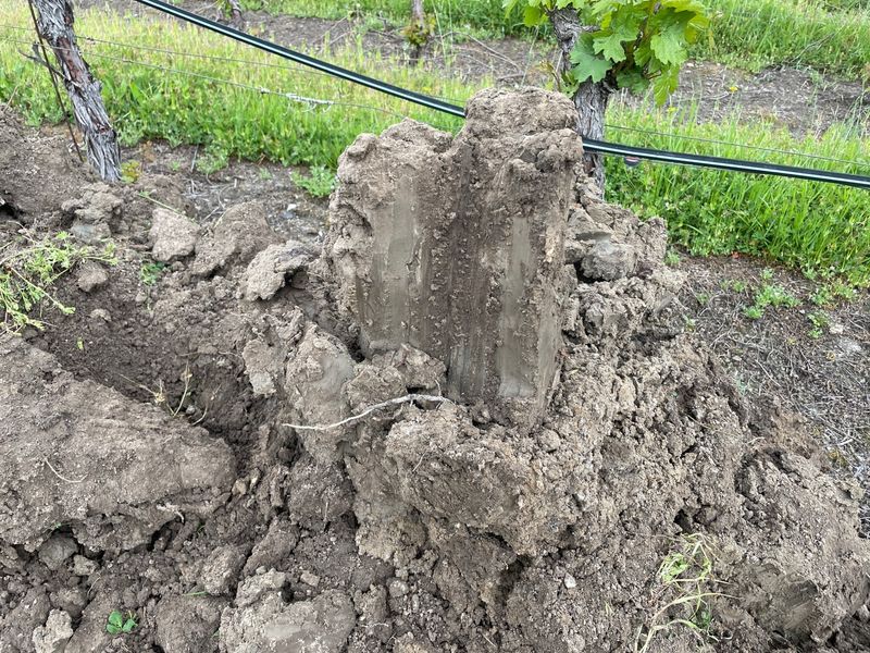 Create Surface Drainage Channels