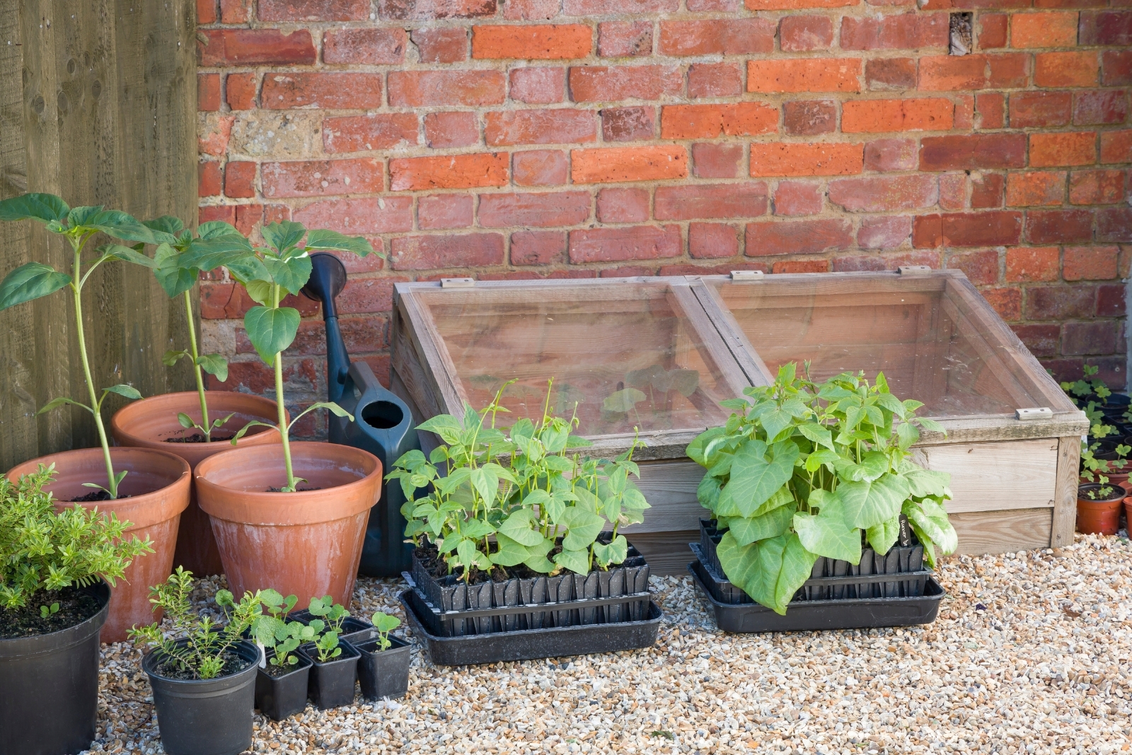10 Ways To Extend Your Gardening Season In Pennsylvania