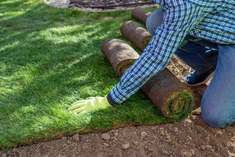 artificial grass (featured image)