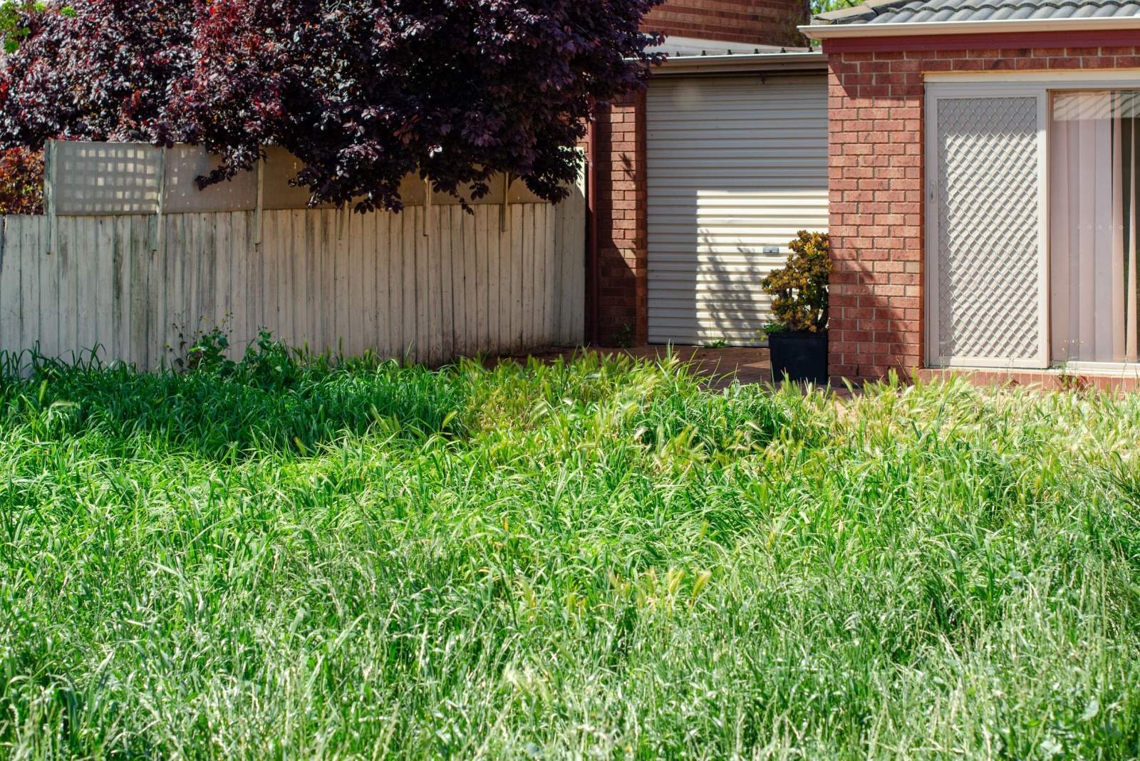 10 Yard Features That Could Get You In Trouble In Kentucky