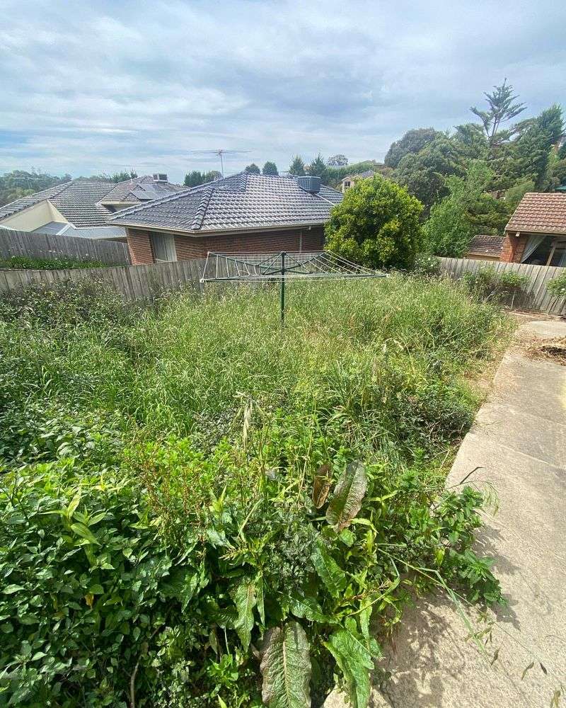 Overgrown Grass Jungles