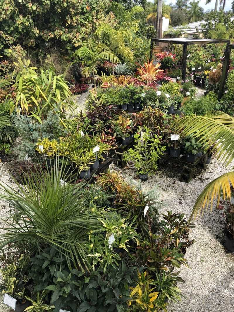 Planting Non-Native Species