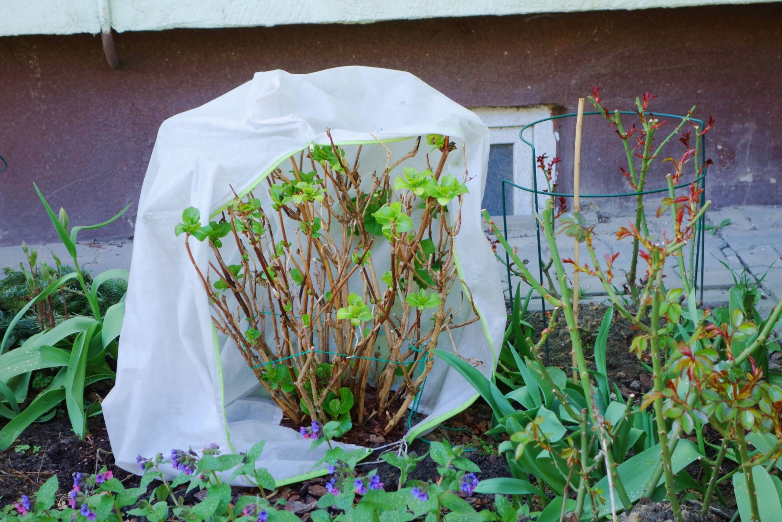 11 Key Garden Jobs Every Pennsylvania Gardener Should Do In October