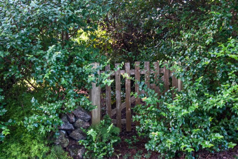 neglected garden gate