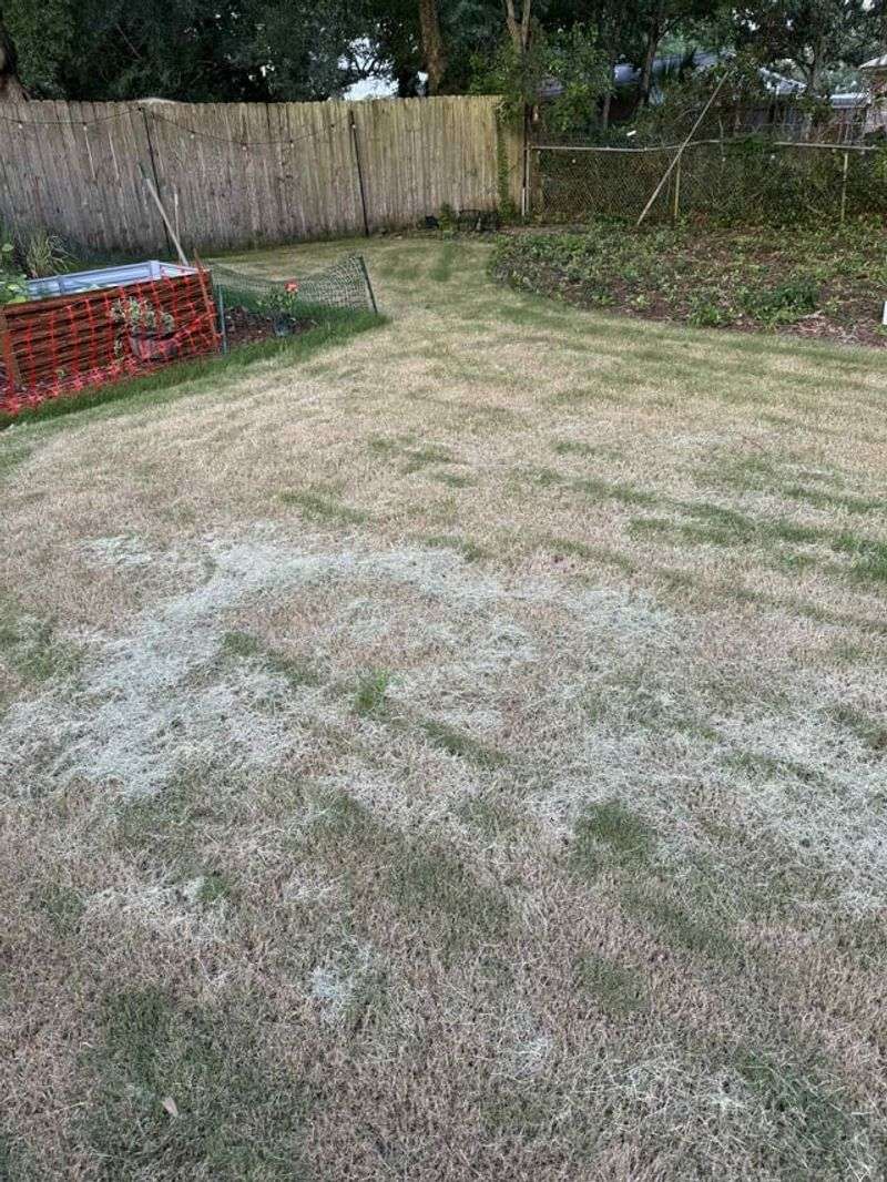 Mowing Too Short