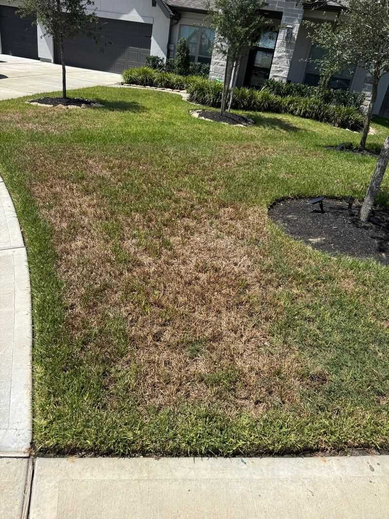 Scalping Grass During Drought Conditions